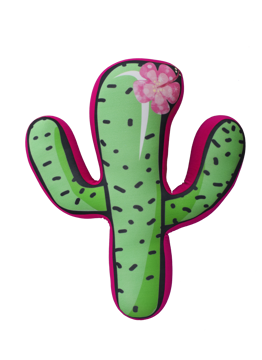 Imagen de Cactus