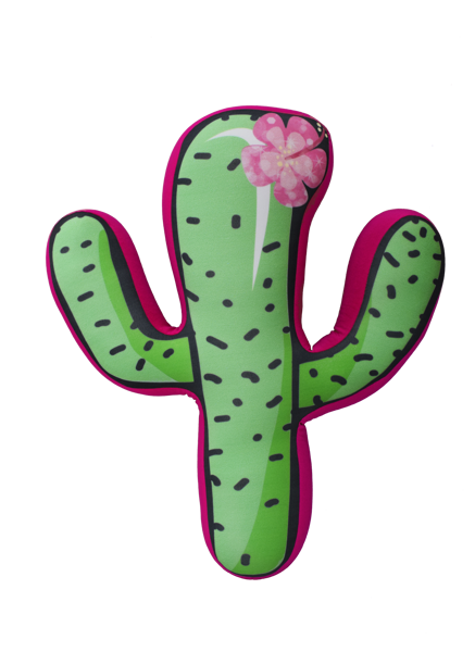 Imagen de Cactus